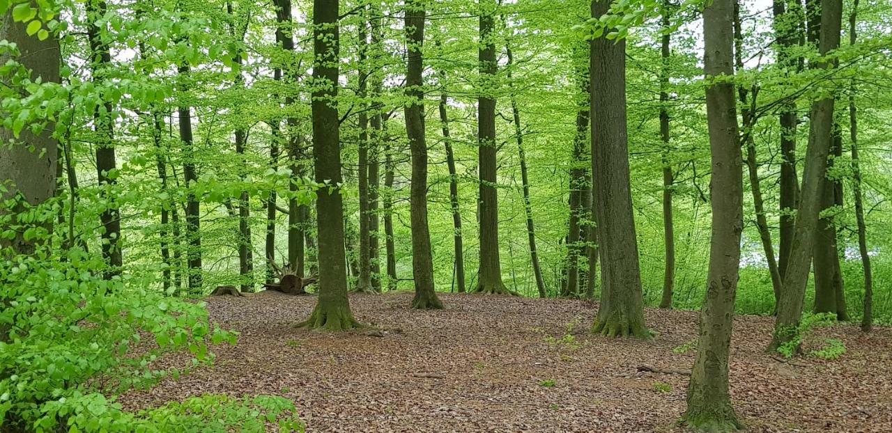 Ferienhaus Heide Bad Fallingbostel Exterior foto
